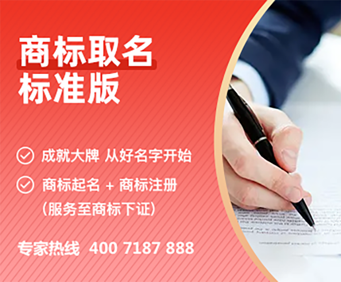 商标取名标准版