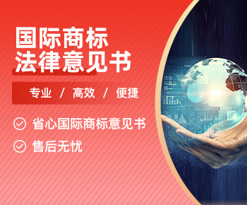 国际商标法律意见书